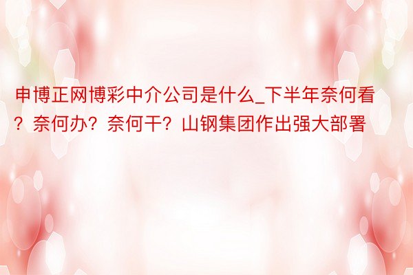 申博正网博彩中介公司是什么_下半年奈何看？奈何办？奈何干？山钢集团作出强大部署