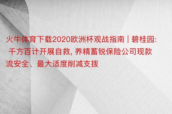 火牛体育下载2020欧洲杯观战指南 | 碧桂园: 千方百计开展自救, 养精蓄锐保险公司现款流安全、最大适度削减支拨