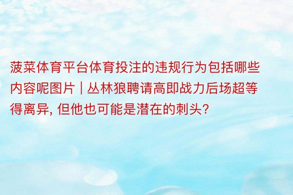 菠菜体育平台体育投注的违规行为包括哪些内容呢图片 | 丛林狼聘请高即战力后场超等得离异， 但他也可能是潜在的刺头?