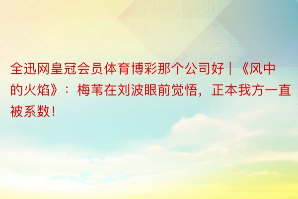 全迅网皇冠会员体育博彩那个公司好 | 《风中的火焰》：梅苇在刘波眼前觉悟，正本我方一直被系数！